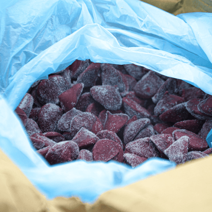Puré de açaí ecológico congelado